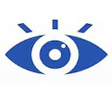 Vision